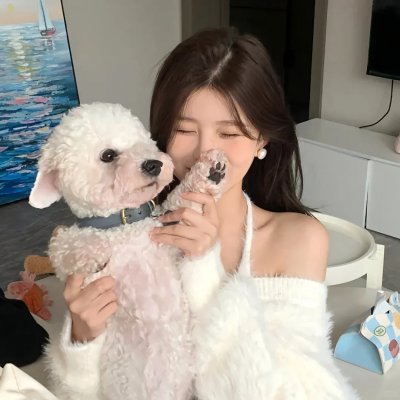 蜜月氹氹转 封面