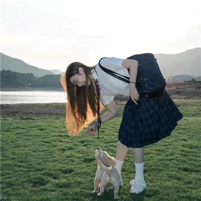 最强二弟子之猪事大吉