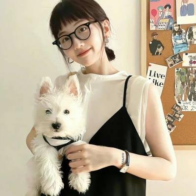 青春韶华 封面